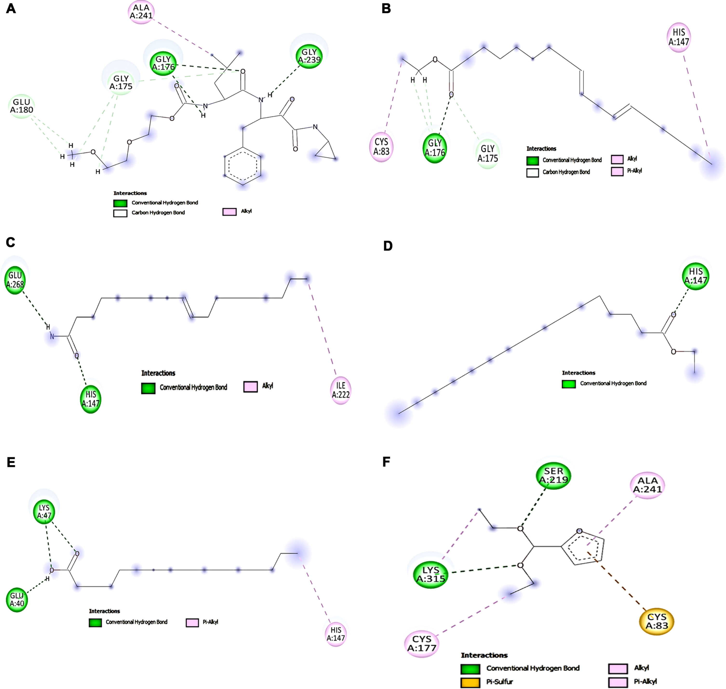 Molecular docking analysis of top 5 compounds in HS against Calpain-1 (A) SNJ-1945 (B) Ethyl linoleate (C) Oleamide (D) Ethyl palmitate (E) Palmitic acid (F) 2-(diethoxymethyl)furan.