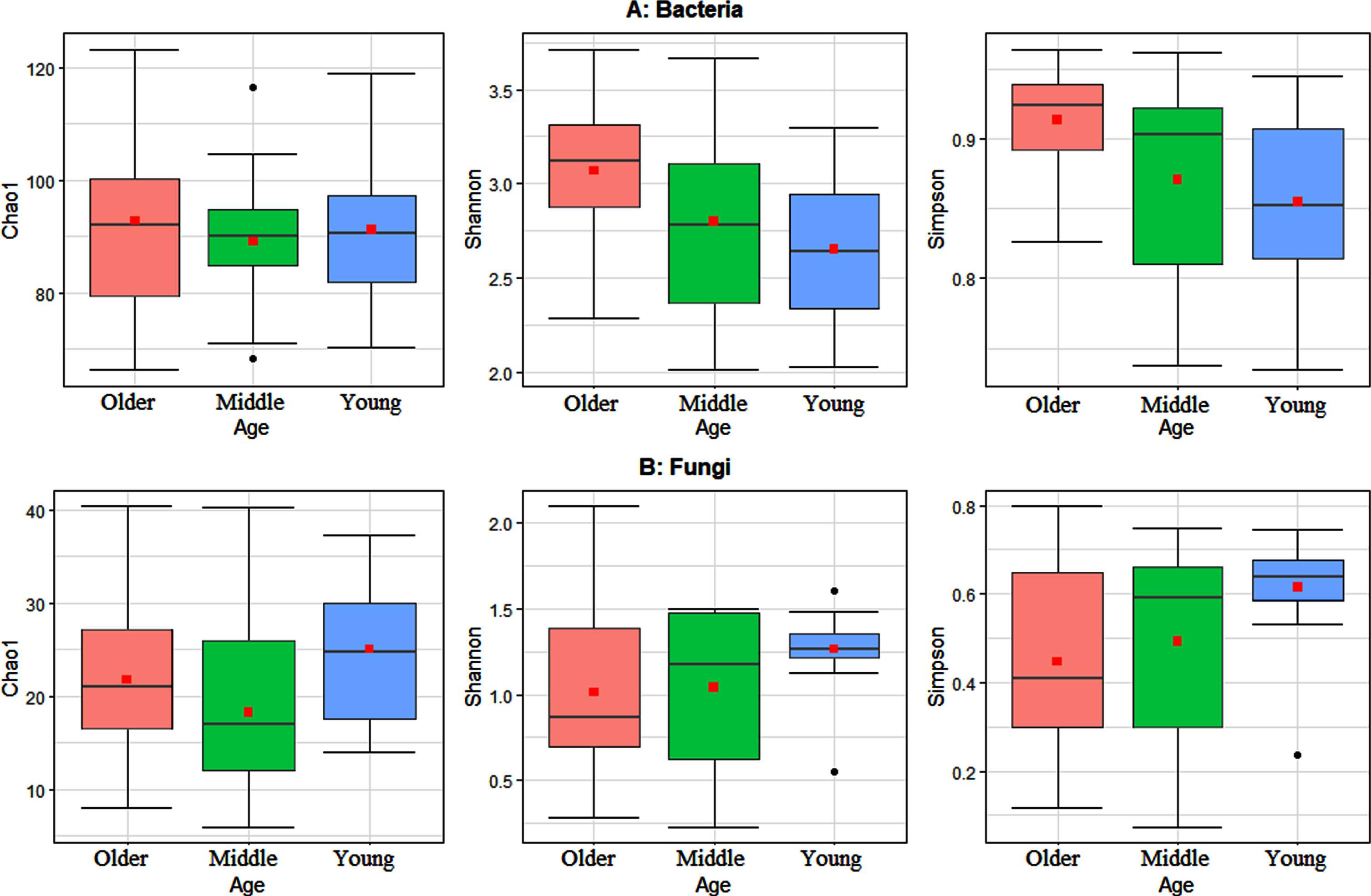 Boxplots of the three studied alpha diversity metrics Chao1, Shannon, and Simpson indices. A) Alpha diversity metrics for the gut bacterial community. B) Alpha diversity metrics for the gut fungal community. Statistically significant differences were determined using Wilcoxon sum rank test, with alpha diversity as the response variable, and age as a crossed predictor variable. Wilcoxon sum rank results show significant differences of Shannon and Simpson diversity indices between young and older age groups for bacteria (max P-value < 0.02). Wilcoxon sum rank results show significant differences of Chao1, Shannon and Simpson diversity indices between young and older age groups for fungi (max p-values < 0.042). Friedman test results show insignificant differences of Chao1, Shannon and Simpson diversity indices among young, middle and older age groups (each P-values > 0.10). The bold point in each box plot represents the average value.