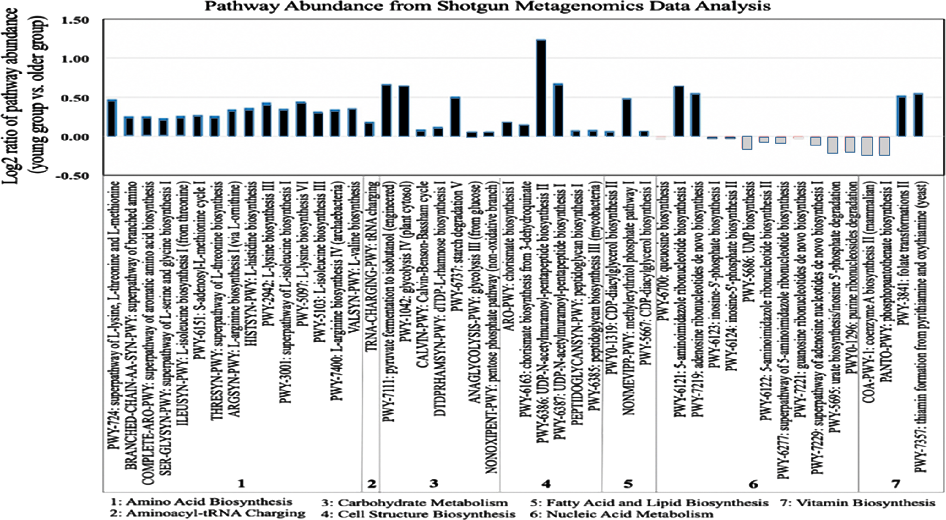 Functional profiling of young and older adulthood microbiota based on shotgun metagenomics. Derived from whole metagenome shotgun data, the bar plot shows log2 ratios of the average pathway abundance for young and older subjects of each pathway. Older and young pathways that are more abundant are represented in white and black, respectively.