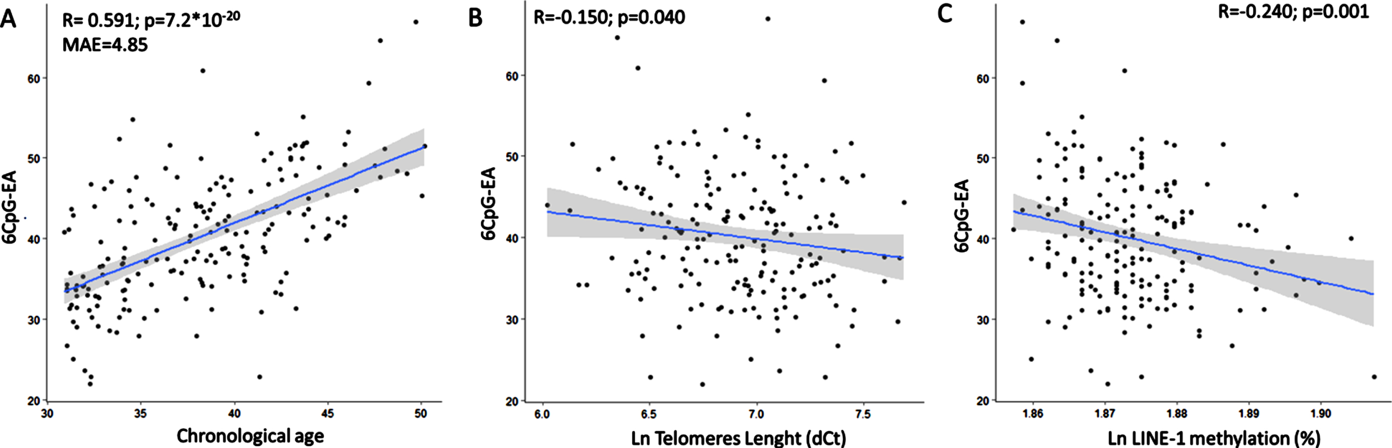 The 6CpG-EA is highly correlated with the chronological age (A). The 6CpG-EA is negatively correlated with telomeres length (B) and LINE-1 methylation levels (C). MAE: Mean Absolute Error.