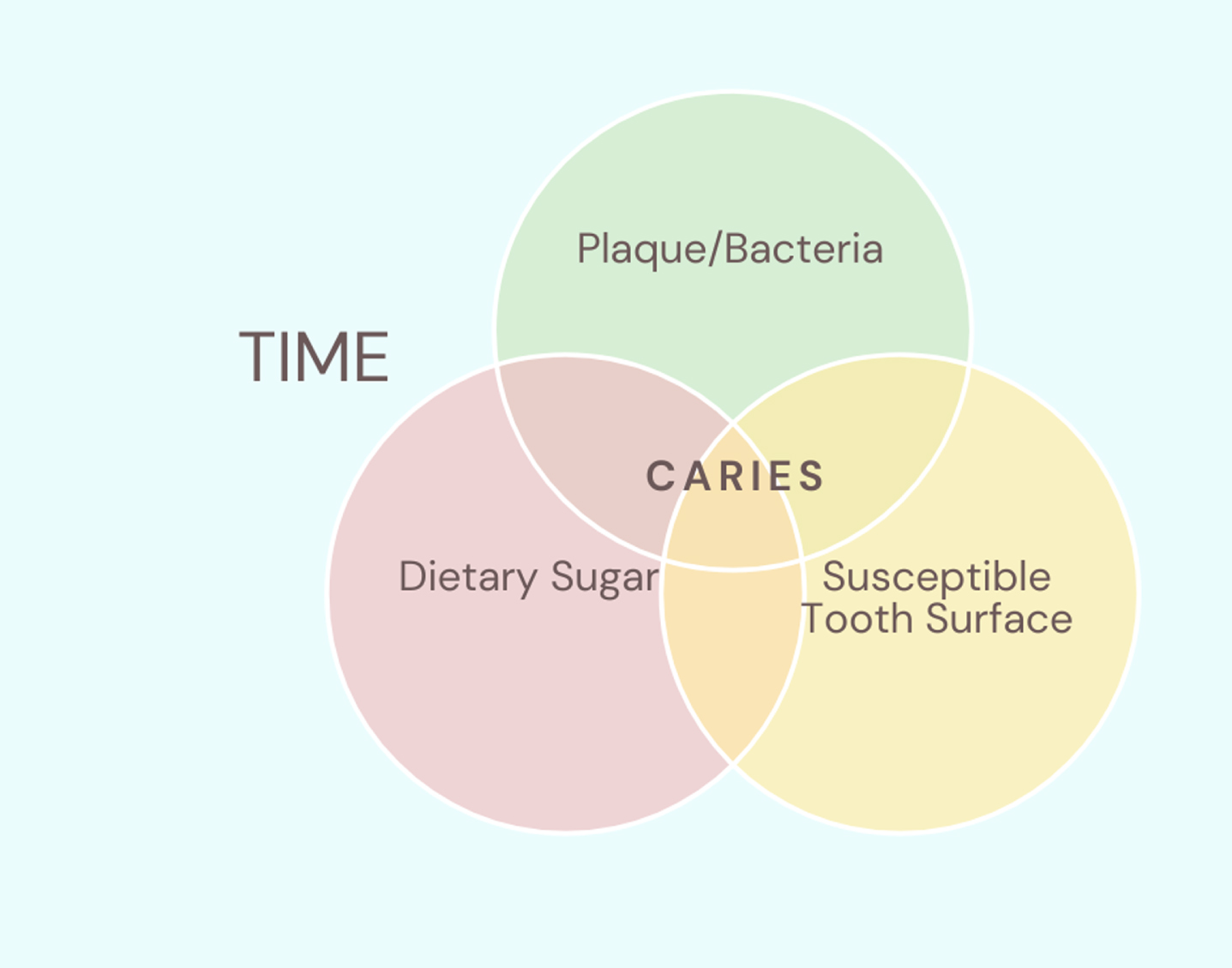 A simplified visual representation of the multifactorial aetiology of dental caries. Dietary sugars are metabolized by bacteria present in dental biofilms, generating acidic by-products that can lead to caries. The fourth factor that this disease process depends on is time, i.e. that it will take time for this process to occur.