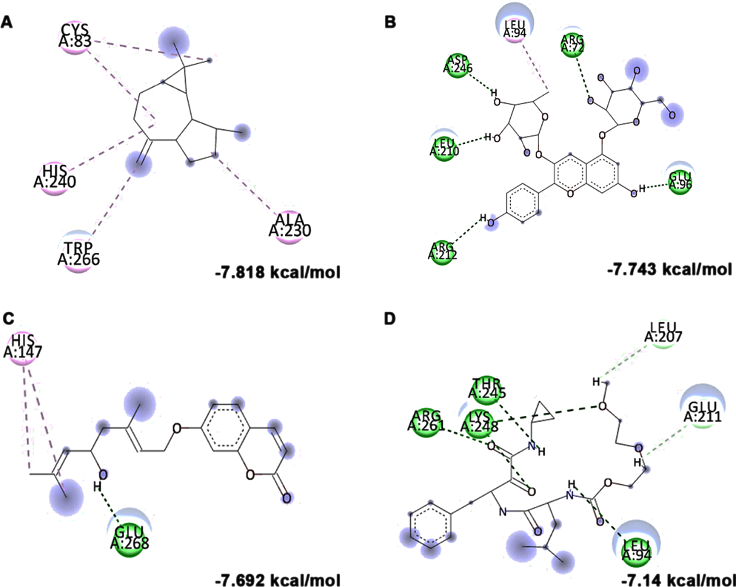 Molecular docking and mode of interaction of compounds (top 3 hits) from HS extract against Calpain-1 (A) allo-Aromadendrene (B) Pelargonidin 3-rhamnoside 5-glucoside (C) N-Feruloyltyramine (D) SNJ-1945 (Green indicates hydrogen bond, purple represents alkyl bond, pink represent a π-alkyl bond, yellow represent π-sulfur interactions)