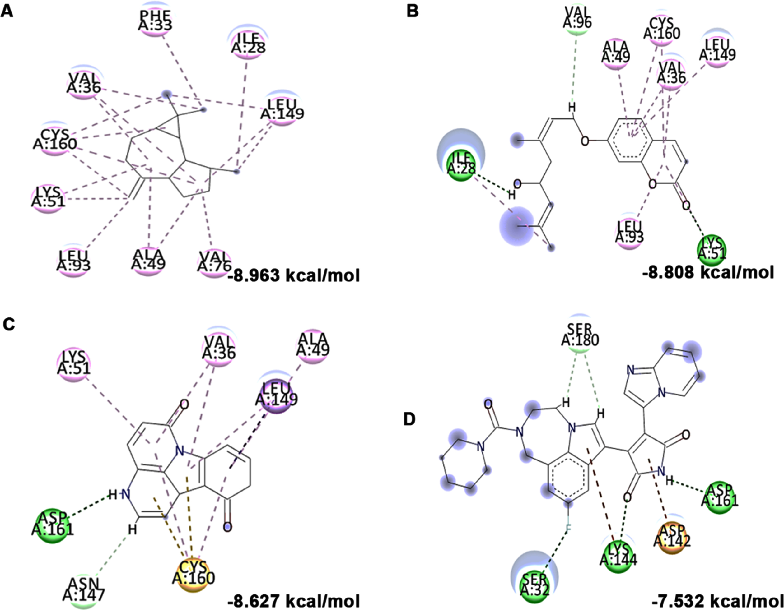Molecular docking and mode of interaction of compounds (top 3 hits) from HS extract against GSK-3β (A) allo-Aromadendrene (B) Anisocoumarin H (C) 11-Hydroxycanthin-6-one (D) LY2090314 (Green indicates hydrogen bond, purple represents alkyl bond, pink represent a π-alkyl bond, yellow represent π-sulfur interactions)