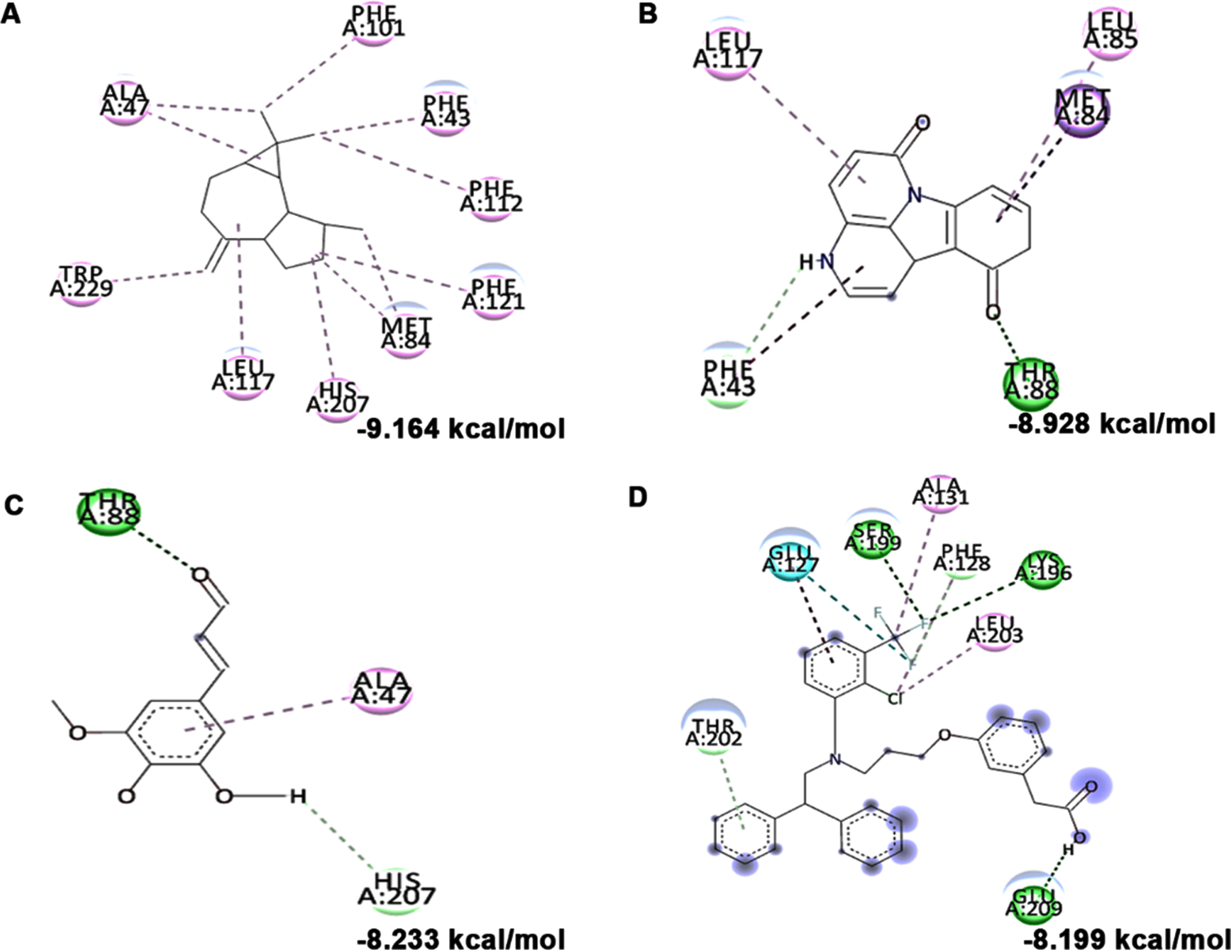 Molecular docking and mode of interaction of compounds (top 3 hits) from HS extract against LXR-β (A) allo-Aromadendrene (B) 11-Hydroxycanthin-6-one (C) Sinapoyl aldehyde (D) GW3965 (Green indicates hydrogen bond, purple represents alkyl bond, pink represents π-alkyl bond)