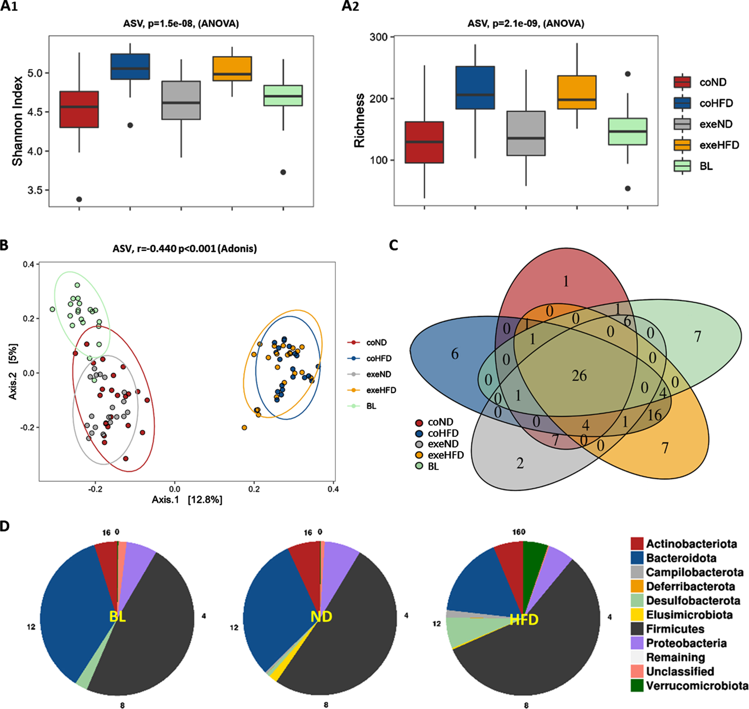 Microbiome alpha and beta diversity analysis from feces of all rat study groups. (A) Shannon Index (A1) and richness (A2) for alpha diversity at ASV level. Significance of differences was calculated with the 2-way ANOVA. (B) Principal coordinate analysis (PCoA) for beta diversity at the ASV level. Significance of differences was calculated with Adonis model (Bray-Curtis). (C) Venn diagram of core microbiome depicting unique and shared taxa on genus level between all study groups. (D) Diet-based phylum distribution independent of exercise.