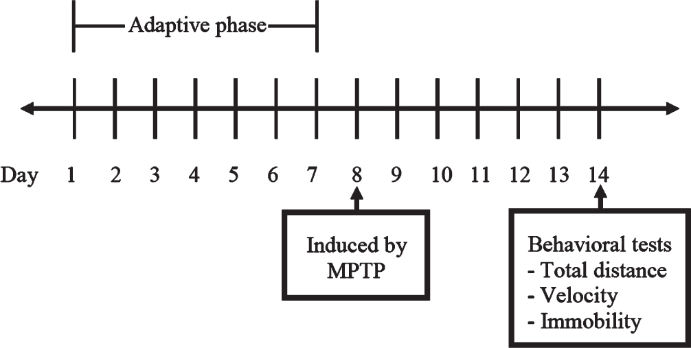 Experimental plan of the behavioral tests in zebrafish.