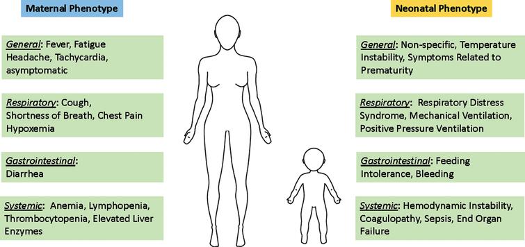 Symptomatology of obstetric and neonatal COVID-19 infection. Maternal symptoms have been reported as like the general population. Neonatal symptoms have been reported, but it important to note that distinguishing the phenotype and separating the etiology of the symptoms as specific to COVID-19, rather than bacterial infection or prematurity, has yet to occur.