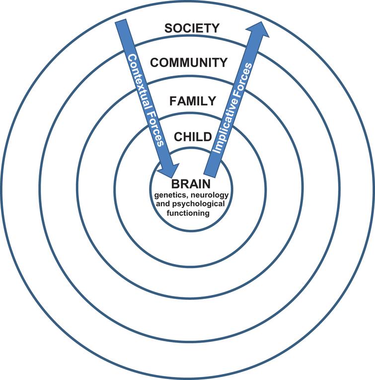 The way in which the child’s brain ‘works’, (the brain itself being influenced by a variety of intrinsic and extrinsic factors), affects all aspects of the child’s functioning. Over time, both implicative and contextual forces create a bi-directional relationship between brain, child, and the environment of the family, the broader community and society. This biopsychosocial 
framework demonstates that each level of functioning needs to be understood, and can be influenced, by all other levels. After Bronfenbrenner (1979), Gutstein (2009), Crittenden et al. (2014) and Cronen (1994). Factors within the child lead to a relational dance that becomes increasingly mis-attuned. This mis-attunement then affects and is affected by the wider context and unusual patterns of interaction and behaviour becomes increasingly fixed. Contextual factors are those that impact from the broader context down towards the child. Implicative factors are those that ripple out from the child to the family and to the wider context.