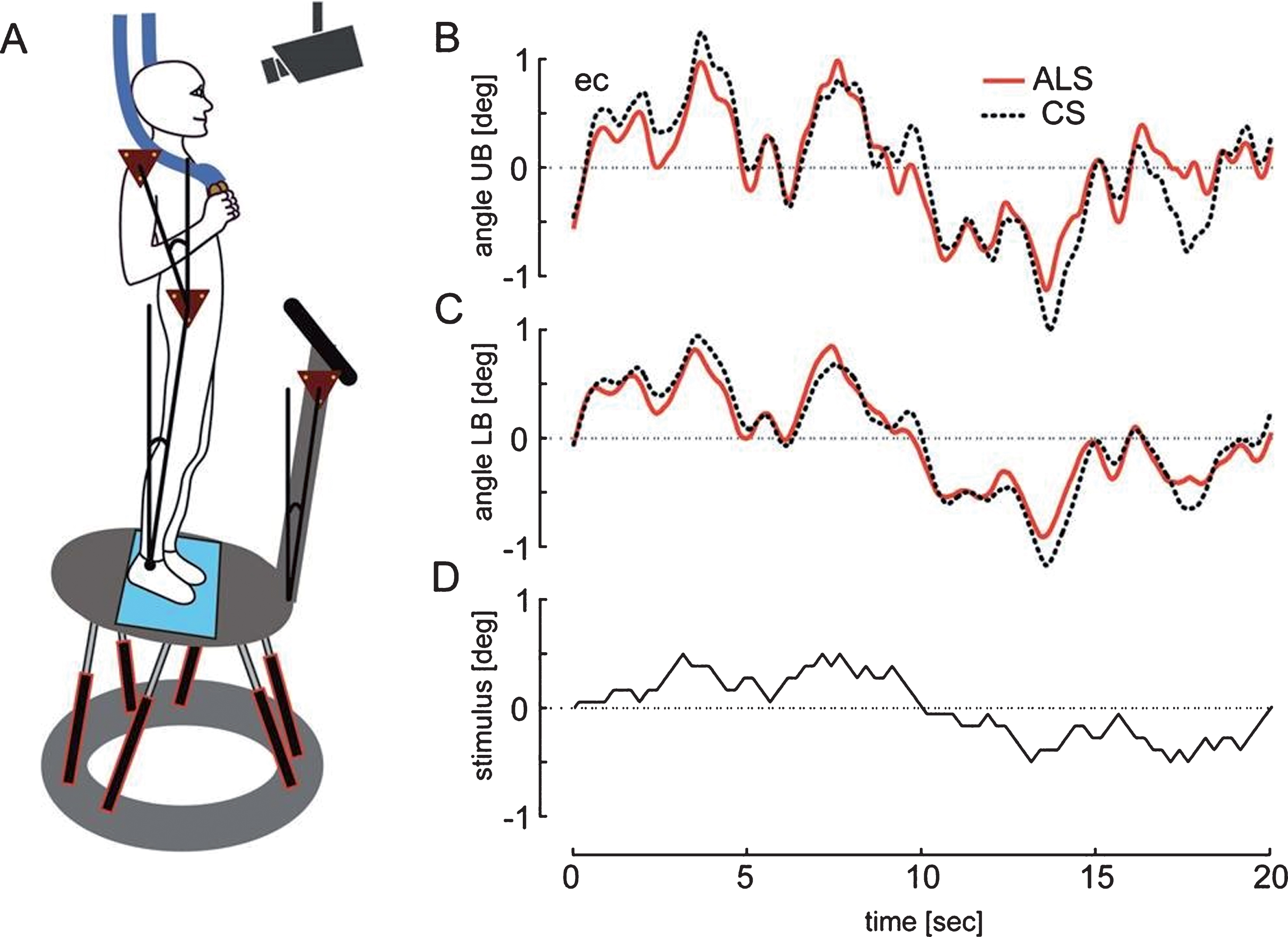 (A) Schematic representation of the experimental setting. B-D show an averaged time course of ALS patients’ and control subjects’ (CS) upper (B) and lower body (C) during platform tilts with the stimulus profile presented in D.
