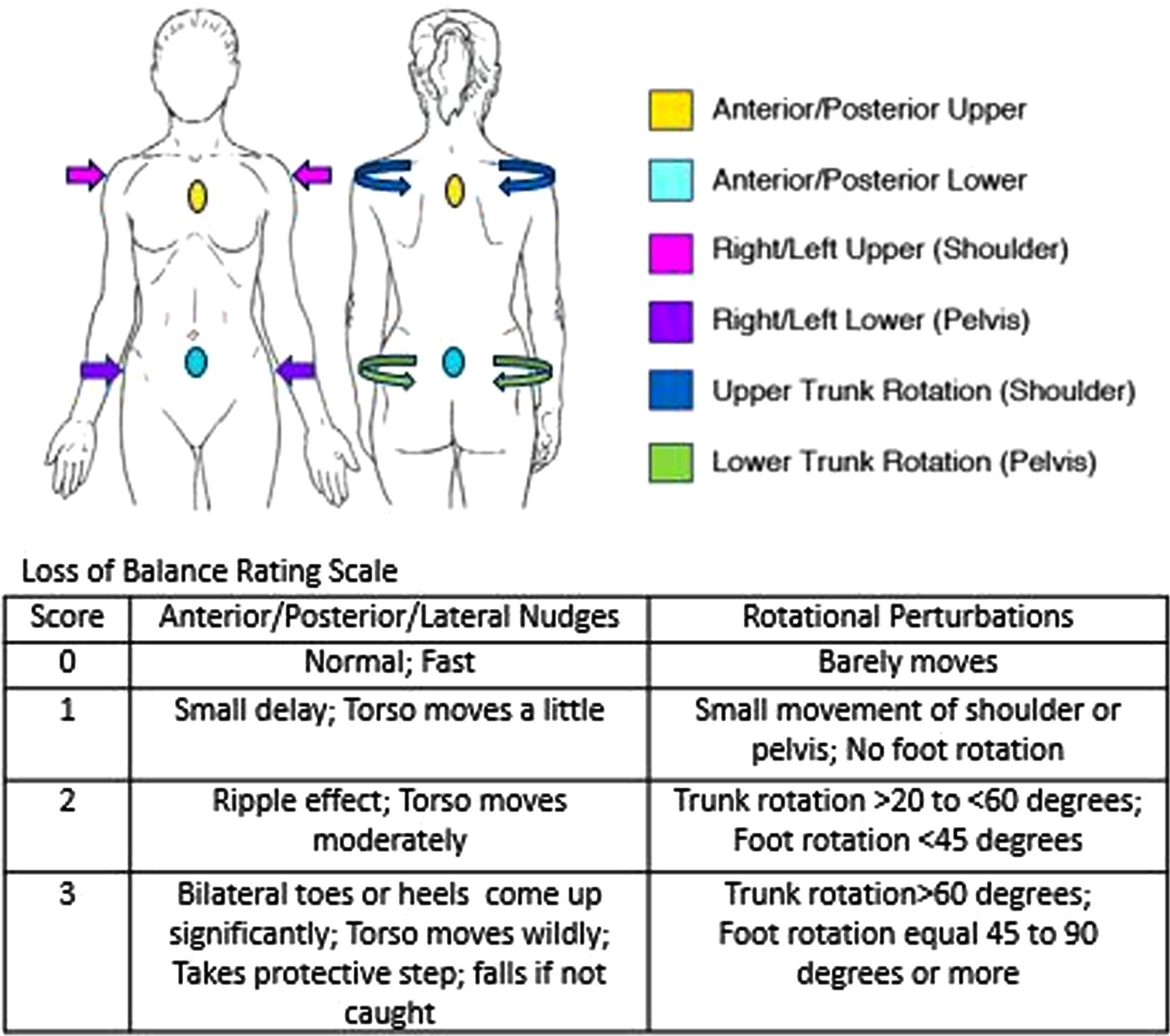 Loss of balance assessment and rating scale. Locations and directions of the standardized set of perturbations includes nudges and resisted rotations.