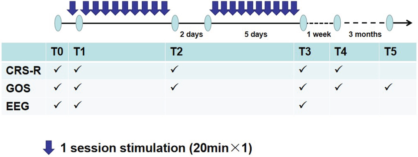 Outline of the experimental design. T0: before the first session; T1: after the first session; T2: after ten sessions; T3: after twenty sessions; T4: one week after the twenty sessions; T5: three months after the end of the twenty sessions.
