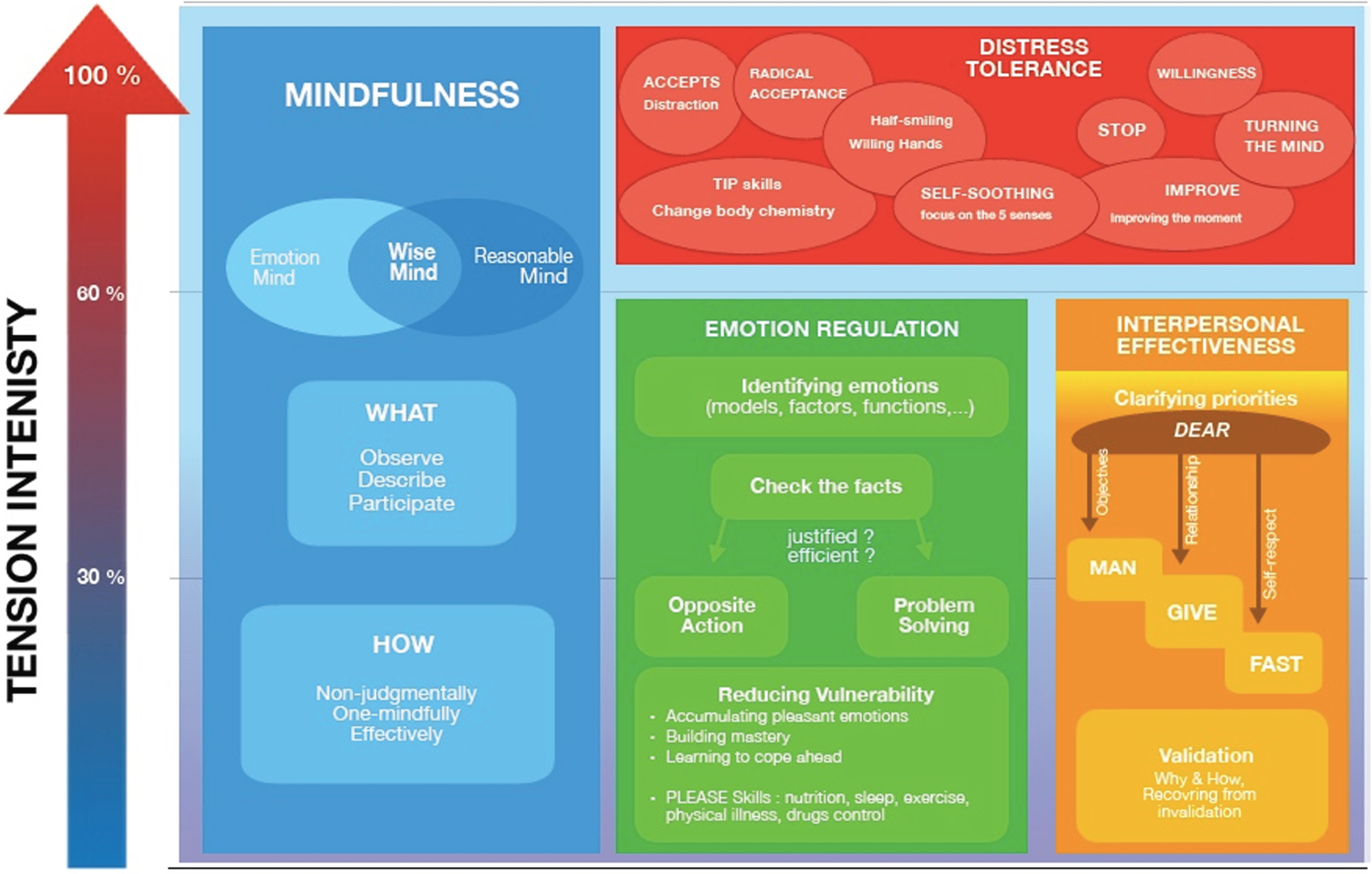 The use of the 4 DBT modules and their component skills depending on emotional intensity. (Enzo Lachaux, based on (M. M. Linehan, 1993)). Acronyms meaning: DEAR MAN = Describe the current situation; Express your feelings and opinions about the situation; Assert yourself by asking for what you want or saying “No” clearly; Reinforce (reward) the person; Mindful keep your focus on your goals; Appear confident, effective, and competent; Negotiate be willing to give to get. GIVE = (be) Gentle, (act) Interested, Validate, (use an) Easy manner. FAST = (be) Fair, don’t over-Apology, Stick to your Values, be Truthful. ACCEPTS = Activities, Contributions, Comparisons, Emotions, Pushing away, Thoughts, Sensations. TIPP = tip the Temperature, Intense Exercise, Paced breathing, Progressive muscle relaxation. STOP = Stop, Take a step back, Observe, Proceed mindfully. IMROVE = Imagery, Meaning, Prayer, Relaxation, One thing in the moment, Vacation, Encouragement.