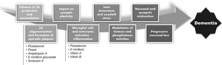 Stilbenes and steps in amyloidic cascade leading to dementia.