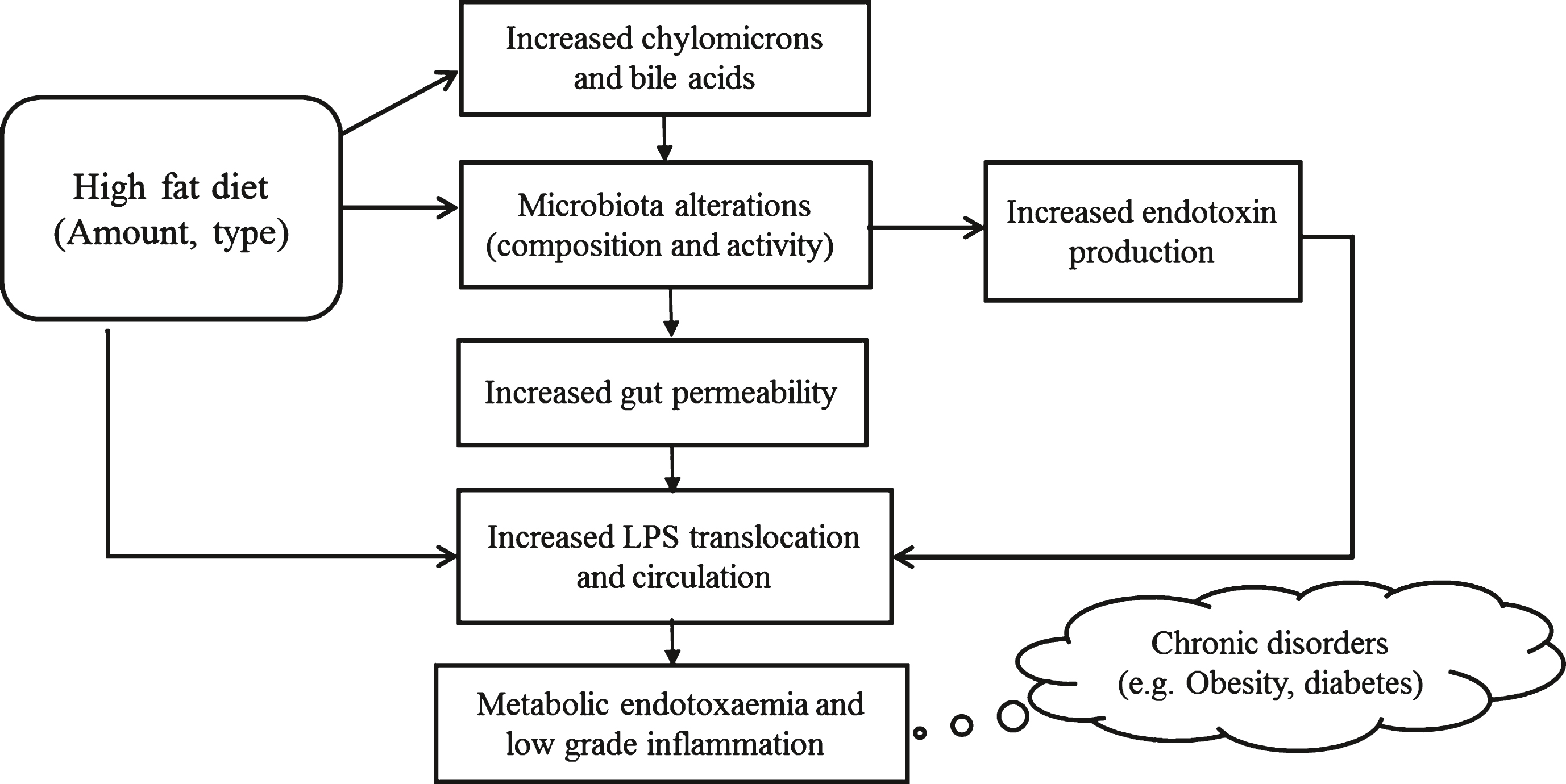 Relationship between a high fat diet, microbiota composition and metabolic endotoxaemia. LPS, lipopolysaccharide. Adapted from [155].