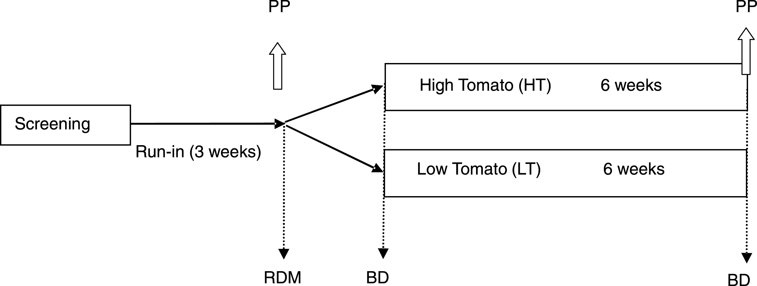 Study Schema –3 week Run-in followed by 6 weeks high tomato (HT) or low tomato (LT) diet. Fasting blood samples collected before and after chronic intervention (BD, fasting blood draw). A postprandial study (PP) of the response to a high fat meal over 6 h was conducted before and after respective HT or LT interventions. PP sampling times were 0 (fasting), 30, 60, 90, 120, 180, 240, 300, 360 min. RDM, Randomization.