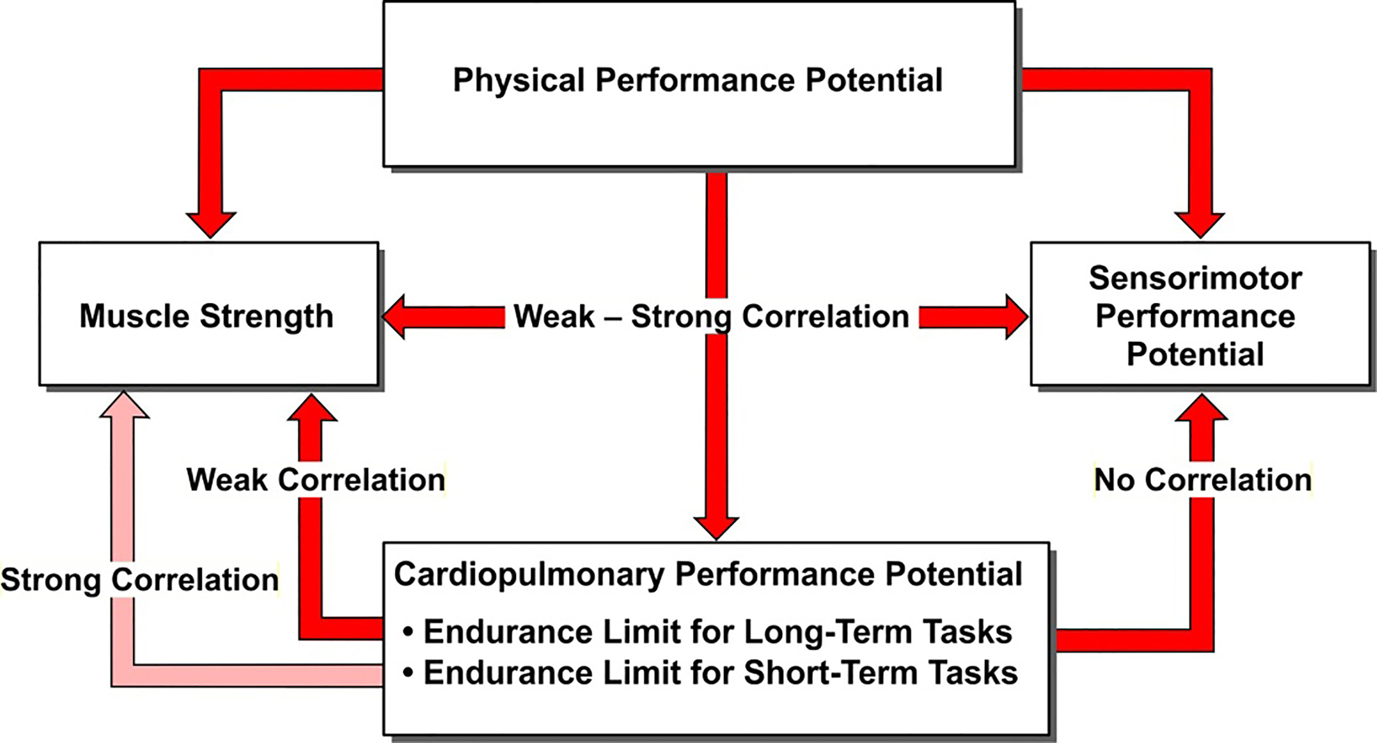 Outline of physical performance potential.