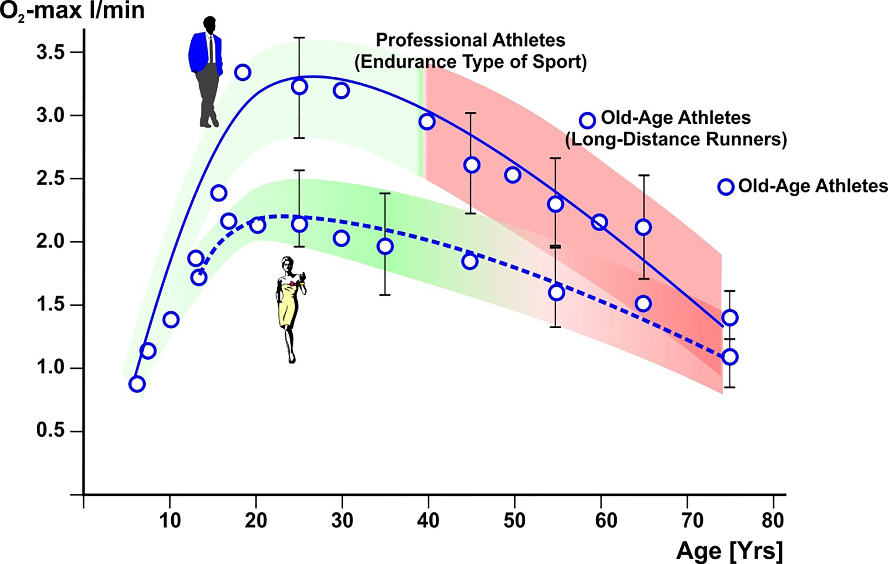 Maximum oxygen uptake of men and women in dependence on age. Means from 2334 subjects, according to Hollmann. Source [8].