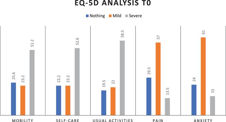 EQ-5D percentage parameters distribution at T0 (mobility, self-care, usual activities, pain/discomfort, anxiety/depression).