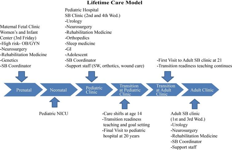 Lifetime Care Model.