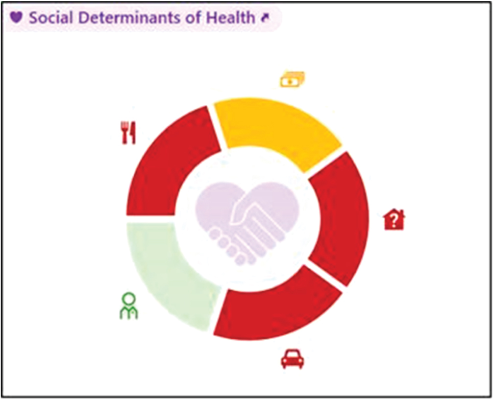 The Social Determinants of Health wheel is a part of the electronic medical record’s SDOH activity. The color-coded risk classifications help clinicians identify social disparities, streamline localization of resources, and assist in care coordination for face-to-face or telehealth follow-up as appropriate.