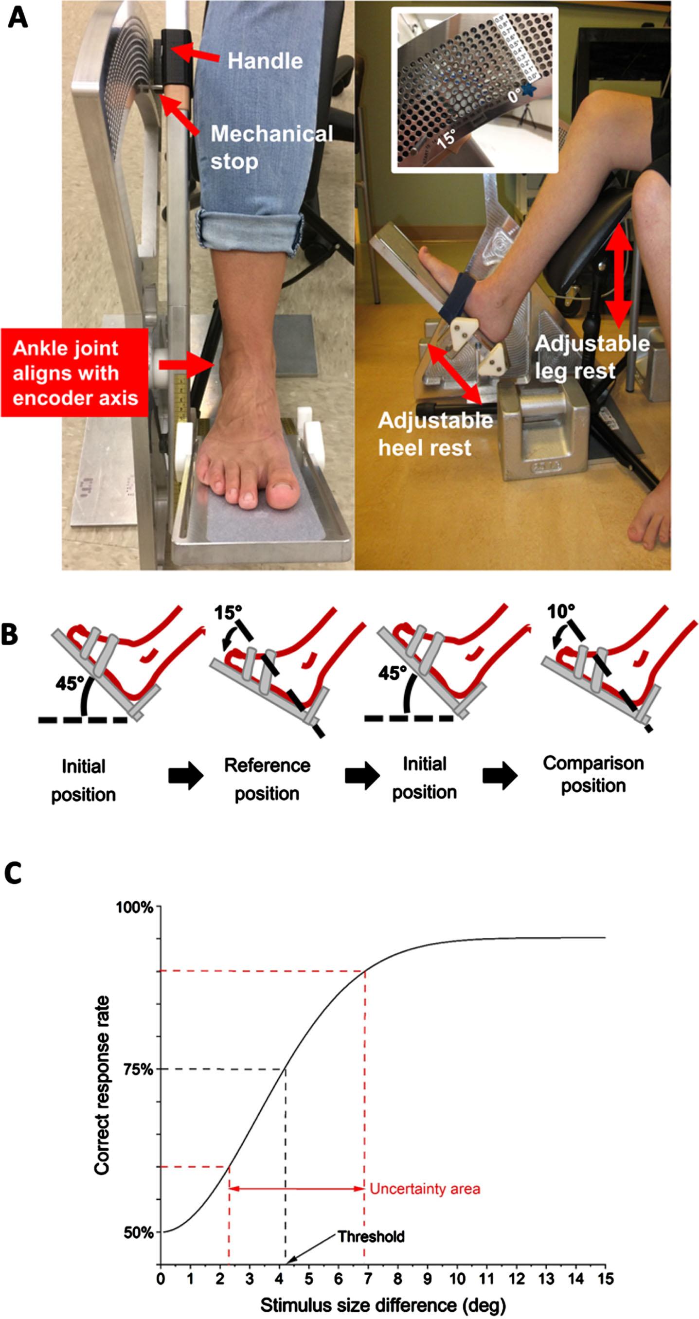A. Front and side view of the manual Ankle Proprioceptive Acuity System. Rotating the handle by the researcher rotates the ankle. Desired degree of rotation can be set by mechanical stops in the semicircular pegboard at 0.1° increments. The system components can be adjusted to the leg anthropometrics of the participant, so that the approximate ankle joint axis aligns with the axis of rotation of the device. B. Example of the time course of a single trial. All trials started at the neutral 45° position. Reference position was always at 15° plantarflexion. Here, the researcher rotates the foot to the reference position, then returns the footrest to the initial position before rotating it to the comparison position (10° plantarflexion in this example). Thus, the stimulus difference is 5°. The participant indicates which experienced position (1st or 2nd) was closer to the floor. C. Example of a derived psychometric function. The just noticeable difference threshold corresponds to the difference between reference and comparison position at the 75% correct response rate. The uncertainty area is defined as the distance between the stimulus size differences at the 60th and 90th percentiles.