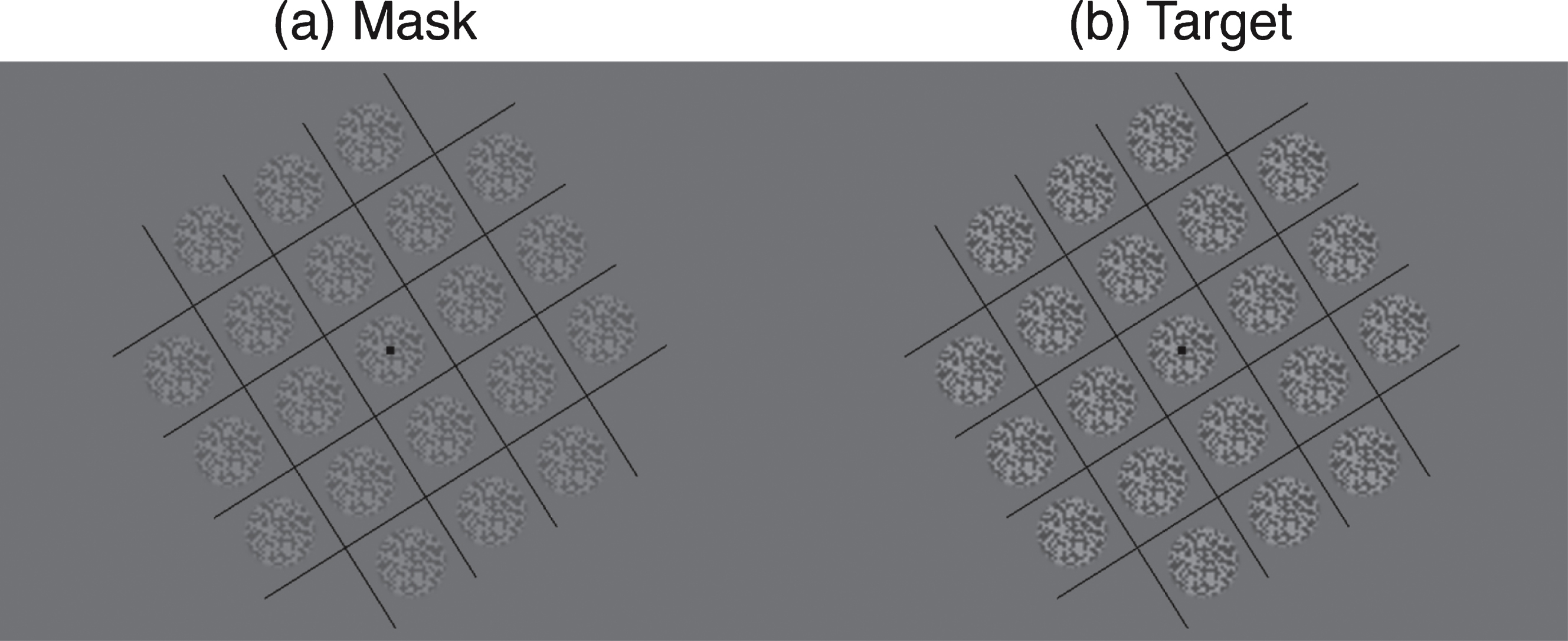 Example stimuli used in experiments. Mask (a) and target (b) were patches of static white noise windowed by a raised cosine envelope. The patches were tiled in a 5×5 grid, surrounded by a series of orthogonal lines to aid binocular fusion. The orientation of the grids was varied randomly from trial to trial to minimise local adaptation.