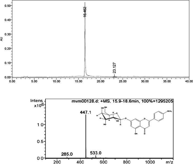 Chromatography profile and mass spectrum [M+1] of Acacetin 7-O-glucoside (7-ACAG). RT: 16.4 min, % relative area: 99.21 [M]+1; m/z: 447.12, C22H22O10. RT: Retention time; percentage relative of area (purity), [M]+1: molecular ion plus 1, m/z mass number/charge number ratio. High-Performance Liquid Chromatography-Electrospray-Mass Spectrometry (HPLC-ESI-MS) profile of Acacetin 7-O-glucoside (7-ACAG).