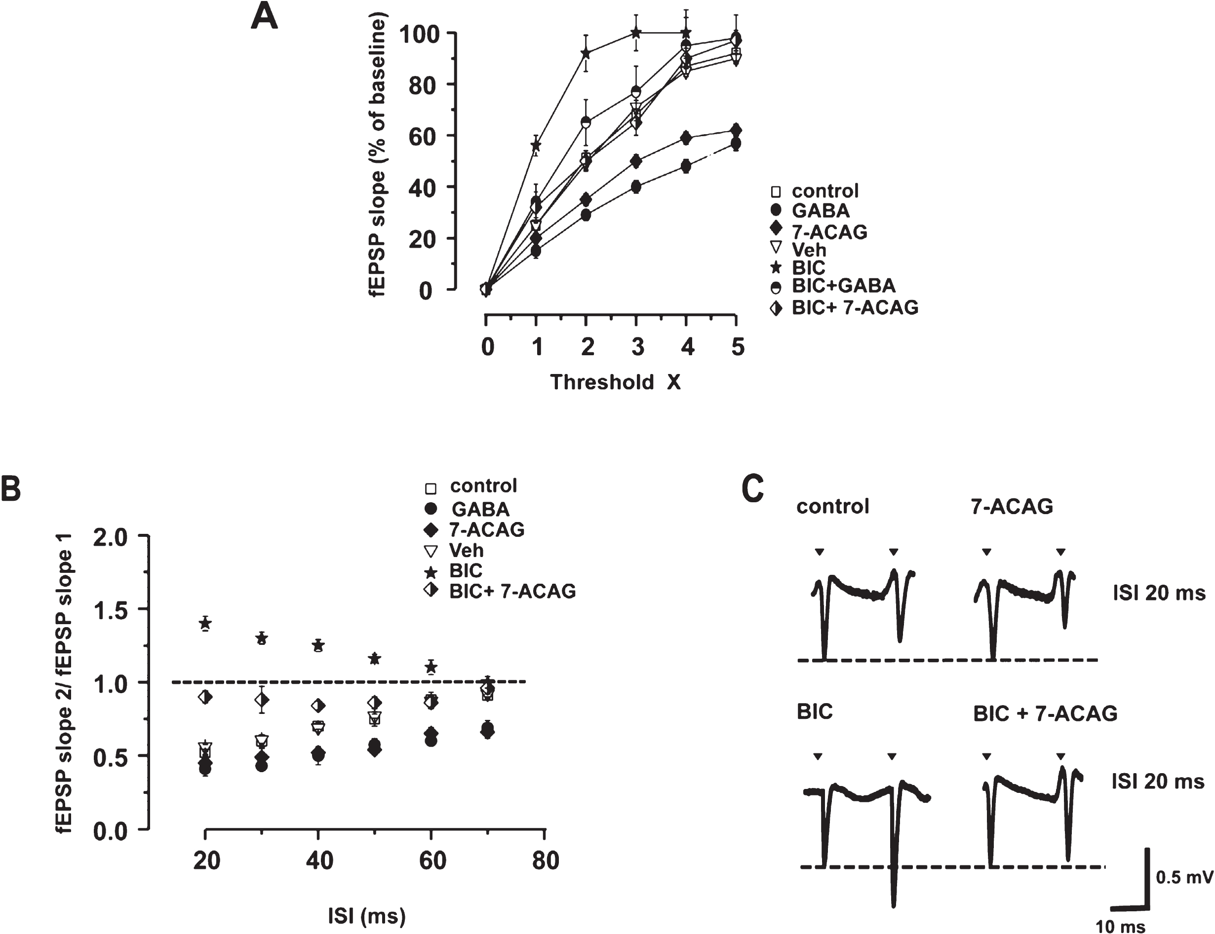 7-ACAG increases Paired-pulse (PP) inhibition and reduces the Bicuculline (BIC) hyperexcitability effect. A) The control Input/Output curve (I/O; white squares) illustrates that the increase of the synaptic responses (field Excitatory Post-synaptic Potentials, fEPSP) of the CAI area is proportional to the increase of the synaptic stimulation. Threshold is defined as the initial response from which negative amplitude is obtained and that increases by 100% , five times the initial threshold value. Exposure to 7-ACAG (black rhombus) displaces the I/O curve to the right; similar results are obtained from application of GABA (black circles). BIC displaces the I/O curve to the left (black star). Application of GABA (white/black circles) or 7-ACAG (white/black rhombus) reduces the increase of hyperexcitability induced by BIC. The vehicle has no effect (white triangles). B) The delivery of two pulses with identical intensity and with Inter-stimuli intervals (ISI) <60 ms (ISI) causes the decrease in the amplitude of the second fEPSP. The relation between control slopes (fEPSP2/fEPSP1) (mean ± Standard error of the mean [SEM]) is depicted in white squares. 7-ACAG increases Paired-pulse inhibition (PPi) (black rhombus). The GABA effect (3 mM) is illustrated in black circles. The vehicle does not modify the PPi. Bicuculline (BIC) facilitates Paired-pulse (PP) in CA1 area (black stars); however, 7-ACAG significantly blocks the powerful hyperexcitability effect of BIC (white/black rhombus; p≤0.001). C) Representative synaptic responses at ISI 20 ms with increased slope induced by BIC and overlying fEPSP that depict the effects of the application of 7-ACAG (upper panel) and BIC+7-ACAG (lower panel). Calibration: 0.5 mV; 10 ms.