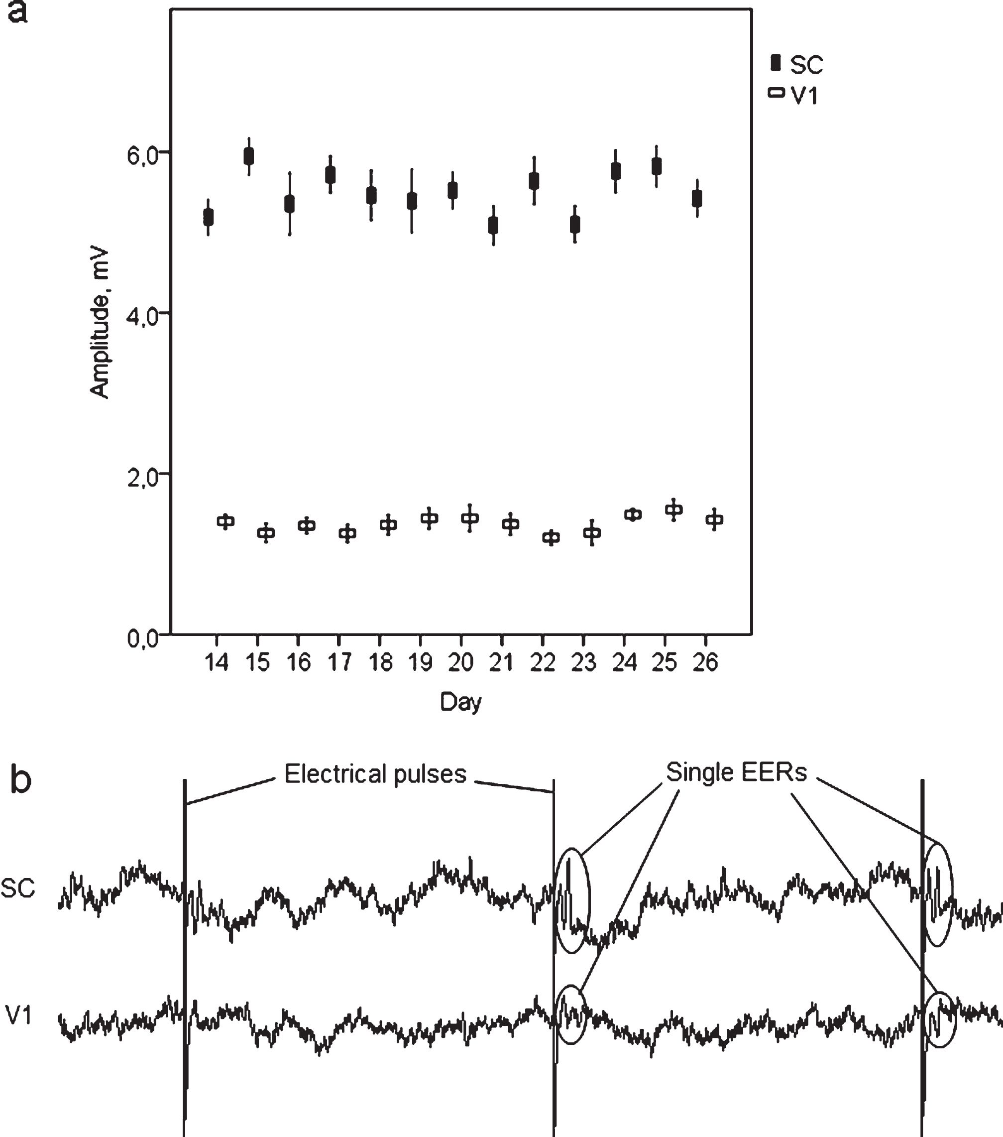 (a) Steadiness of peak-to-peak amplitude of visual evoked potentials recorded on 14– 26 days after the surgery demonstrates stability of the electrodes. (b) raw LFP data with pulse artefacts and single electrically evoked responses recorded from V1 and SC.