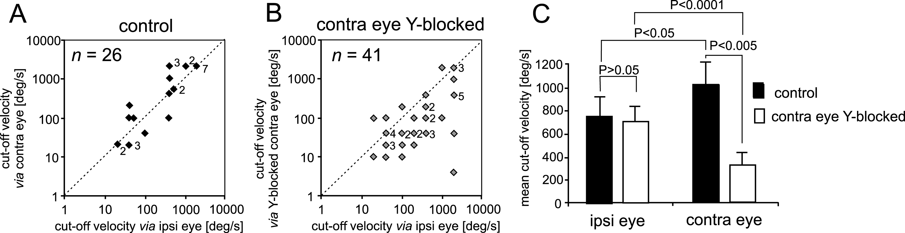Summary of the effect of selective Y-block on the upper cut-off velocities, i.e., the highest velocities of moving photic stimuli at which any response could be evoked in cat SC. In control cats, the upper cut-off velocities for stimuli presented via the ipsilateral eye were usually very similar or slightly lower than those for stimuli presented via the contralateral eye (A and C). By contrast, the upper cut-off velocities for stimuli presented via the ipsilateral (normal) eye were significantly higher than those for stimuli presented via the Y-blocked, contralateral eye (B and C). There was, however, no difference between the upper cut-off velocities of collicular neurons for stimuli presented via the ipsilateral eye in control cats and the upper cut-off velocities for stimuli presented via the ipsilateral eye of Y-blocked cats. As indicated in Fig. 3C, the upper cut-off velocities for stimuli presented via the Y-blocked contralateral eye were significantly lower than those for stimuli presented via the normal contralateral eye (This figure is a modified part of Fig. 9 from Waleszczyk, Wang, Benedek, Burke, & Dreher, 2004, with permission from Acta Neurobiologiae Experimentalis).