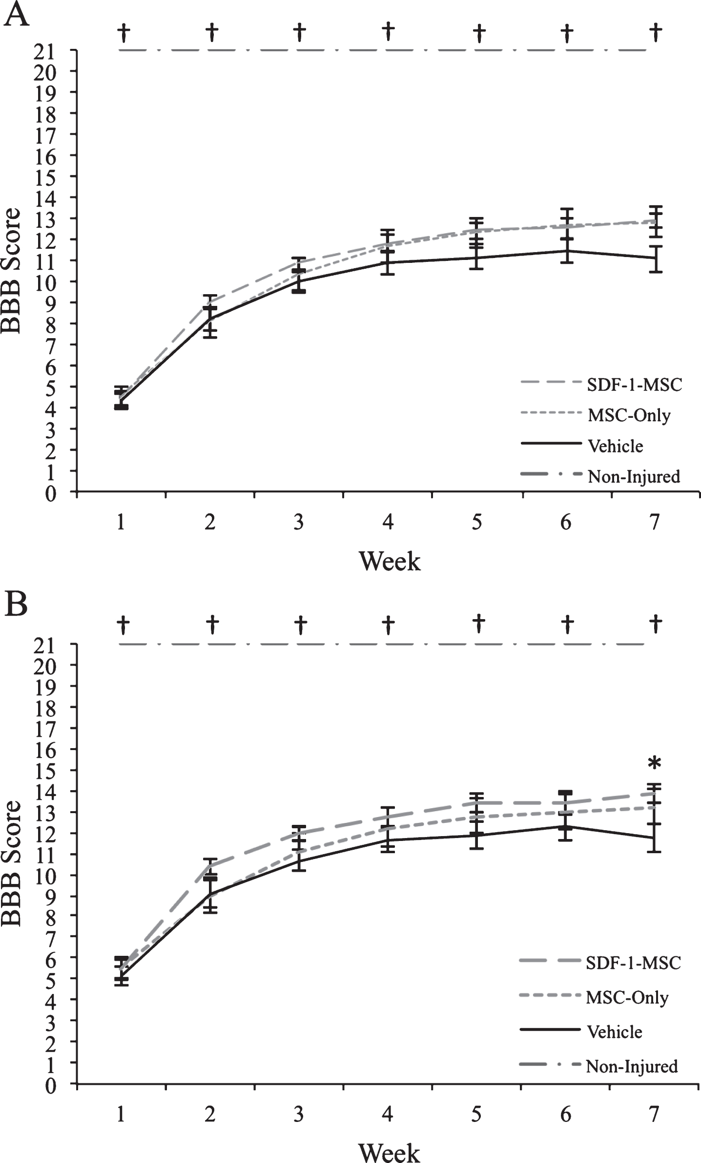 Behavioral Results. Prior to transplantation at 9-days post-injury, rats were distributed into groups to ensure an equal baseline mean (BBB scores ranged from 1–9). (A) When analyzing rats with the full range of baseline scores, transplantations of SDF-1-MSCs or MSCs-alone did not improve motor performance over the 7-weeks post-injury assessment period. (B) When rats with more severe injuries were removed from analysis (BBB scores ranged from 3–9), significant improvements were found with SDF-1-MSC treated rats. *p < 0.05 compared with vehicle-treated rats. †p < 0.005 compared with all other groups.