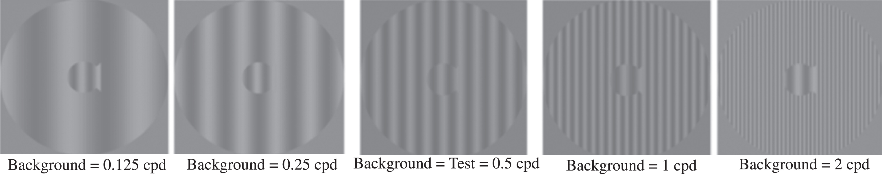 Sample patterns at Complexity Level 1 for a background two octaves lower in spatial frequency than the test frequency, one octave lower in spatial frequency than the test frequency, equal in spatial frequency to the test frequency, one octave higher in spatial frequency than the test frequency, and two octaves higher in spatial frequency than the 0.5 cyc/deg “fish shaped” test pattern. This same set of backgrounds was presented in this order for each of the 4 test spatial frequencies.
