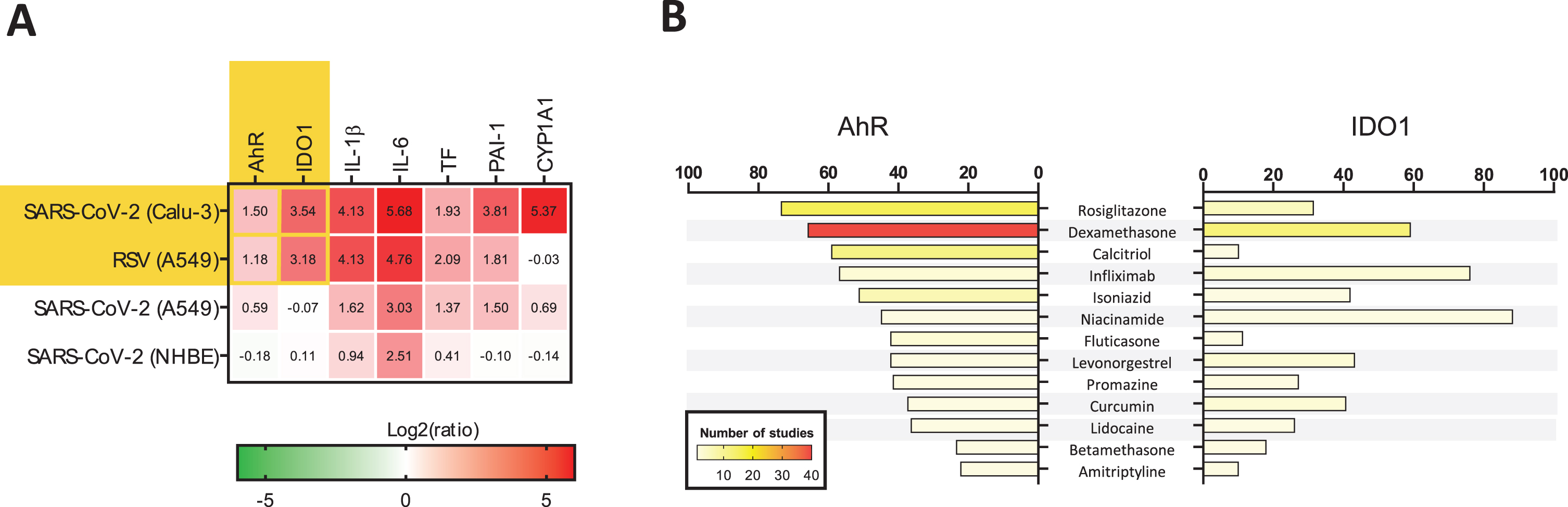 Data mining on the modulation of AhR and IDO1 genes. (A) Conditions under which both AhR and IDO1 genes undergo upregulation were identified using biclustering tool of Genevestigator 7.6.0 (www.genevestigator.com) (Hruz et al., 2008). Query was limited to mRNAseq data from human lung tissues and cell lines. The results are marked with yellow background. It was revealed that significant up-regulation of AHR and IDO1 occurred in the lung adenocarcinoma cell line Calu-3 samples infected with SARS-CoV-2 (USA-WA1/2020 isolate) at a MOI (multiplicity of infection) of 2 and harvested 24 h post-infection (hpi) versus mock-infected Calu-3 cells. Similar observation was made in human lung adenocarcinoma cell line A549 samples infected with respiratory syncytial virus (RSV) A2 strain (MOI 2; 24 hpi) in comparison to mock control (Blanco-Melo et al., 2020). There were no other experimental results demonstrating concurrent upregulation of AHR and IDO1 in the human lung in the Genevestigator database encompassing 2536 mRNAseq studies. Initial heatmap (yellow background) was extended with data on the expression profile of genes driving the AhR-dependent pathologies: inflammation, thrombosis, and fibrosis (Fig. 2). The specific genes code for (1) proinflammatory interleukin 1β (IL–1β) and interleukin 6 (IL-6); (2) thromboembolism-related tissue factor (TF) and plasminogen activator inhibitor-1 (PAI-1); and (3) fibrosis-related P450 cytochrome 1A1 (CYP1A1). Data from A549 and Normal Human Bronchial Epithelial (NHBE) cells infected with SARS-CoV-2 (MOI 2, 24 hpi) were provided for reference. (B) Medications modulating the expression of AhR and IDO1 genes were identified using Pharmaco Atlas of the BaseSpace Correlation Engine software suite (www.nextbio.com) (Kupershmidt et al., 2010). A p-value significance cutoff of 0.05 (without any multiple testing correction) and a minimum absolute fold-change cutoff of 1.2 were used by the software for identification of medications affecting expression of the genes of interest. Then, grading of significant factors was conducted based on the following conditions: (1) total number of medication specific studies in which the gene was measured; (2) number of medication-specific studies in which the gene’s expression was found to be significantly altered; (3) gene’s degree of down- or up-regulation in comparison to all other genes with altered expression within each of the medication studies; (4) consistency of the gene’s association across the medication studies. Additional statistical criteria were applied, such as correction for multiple hypothesis testing, to finally rank the medications. The most significant result was assigned with a numerical score of 100, and the other medications’ scores were normalized to the top-ranked result. Analyses were performed separately for AhR and IDO1 genes. Only medications significantly downregulating both genes were plotted. Numbers of studies are shown by means of the color scale ranging from light yellow (n = 1) to dark red (n = 40).