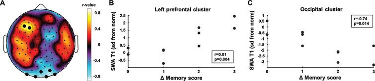 Correlation analyses of initial SWA and memory improvement. (A) Topographic distribution of correlation coefficients. Black dots indicate significant p-values (p < 0.05). (B) Higher SWA in the left frontal cluster was positively associated with memory improvement. (C) Higher SWA in the occipital cluster was negatively associated with memory improvement.
