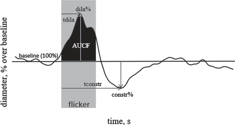 The parameters of retinal vascular response to flicker are as follows: “maximal dilation” (dila%): peak dilatation during flickering period compared to baseline; “time to maximal dilation” (tdila): time to peak dilatation after flickering onset; “maximal constriction” (constr%): peak constriction after flicker onset compared to baseline; “time to maximal constriction” (tconstr): time to reach peak constriction; “area under the curve during flicker stimulation” (AUCF): area under the response curve during the flickering period.