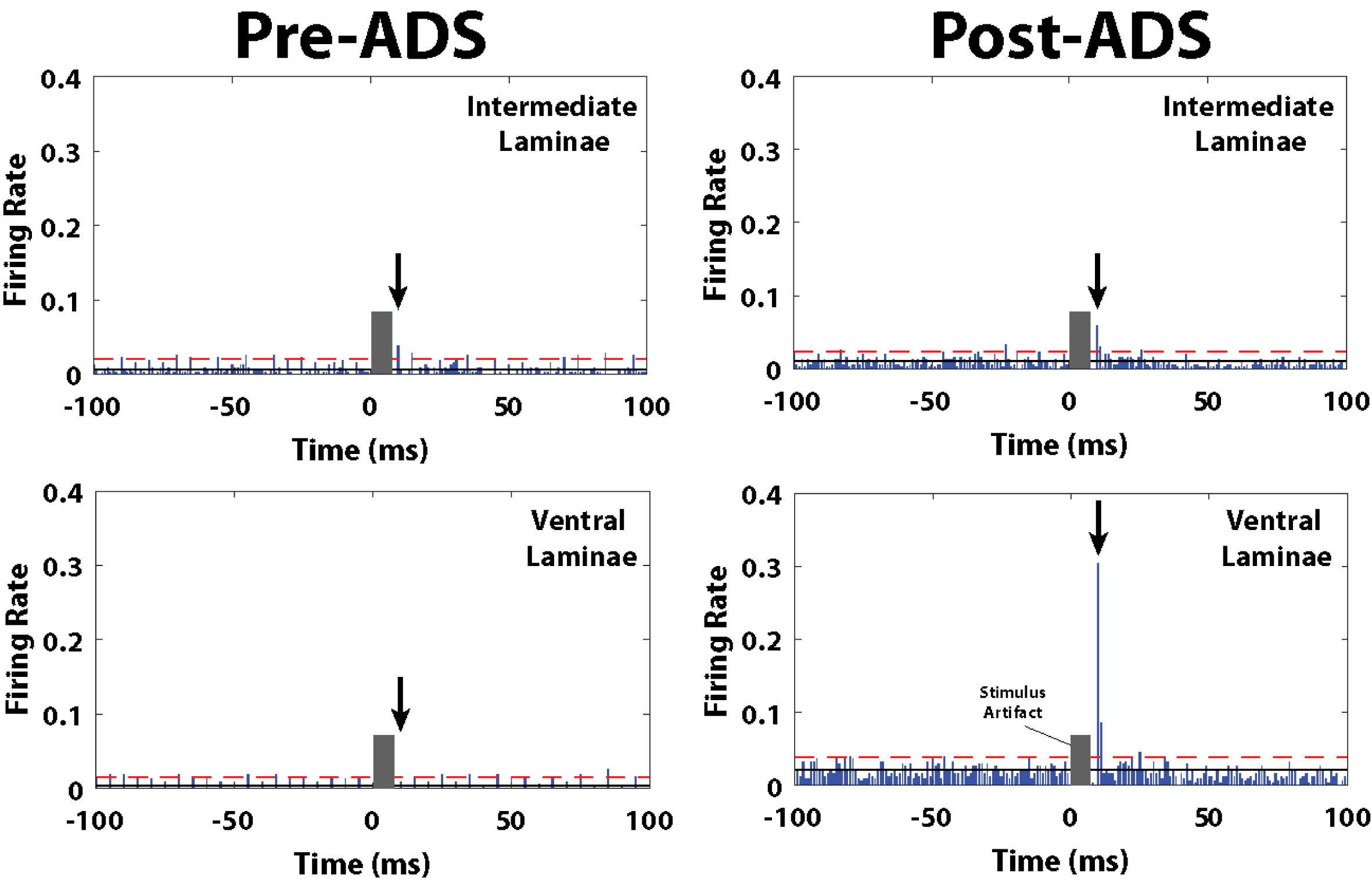 Post-stimulus spike histograms for the 10ms_1P group before and after 3 hours of ADS. Post-ICMS spikes occurred during a short latency period from 10-12 ms, and a long-latency period from 24-36 ms. Black arrow indicates the short-latency bin with the highest ICMS-evoked FR, and thus used for pre/post ADS comparison. The grey block indicates the stimulus artifact where spike activity could not be discriminated during the first 7 ms after the onset of the ICMS train. The number of recorded ICMS-evoked spikes during the short-latency period increased in the ventral laminae (lower right) after 3 hours of ADS. Solid black line is average FR before onset ICMS (i.e., pre-ICMS FR). Red dashed line is 2x standard deviations above pre-ICMS FR.