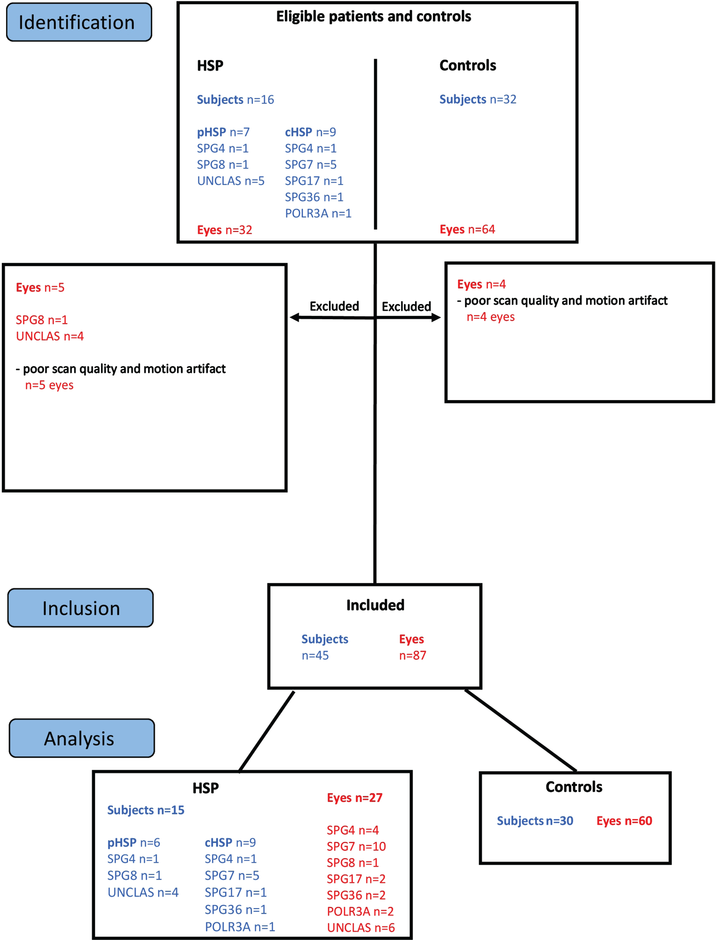 Study Flow Chart. Sixteen subjects diagnosed with HSP and 32 healthy controls were enrolled in the study. Five eyes of HSP patients and 4 eyes of control subjects were excluded from the study due to poor scan quality and motion artifacts. For analyses, 27 eyes from 15 included subjects diagnosed with HSP, and 60 eyes from 30 included healthy controls were used.