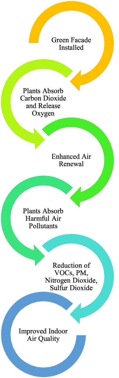 Process of indoor air quality improvement through green facades.