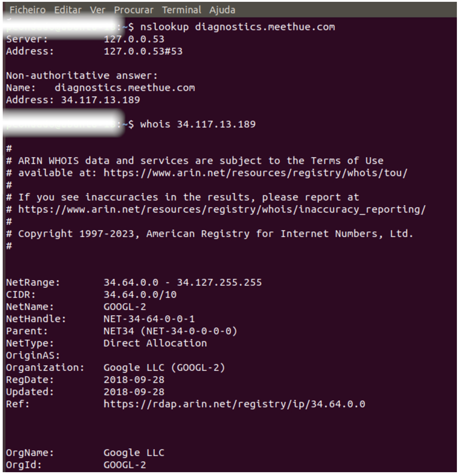 Using nslookup and whois commands in a Linux shell.