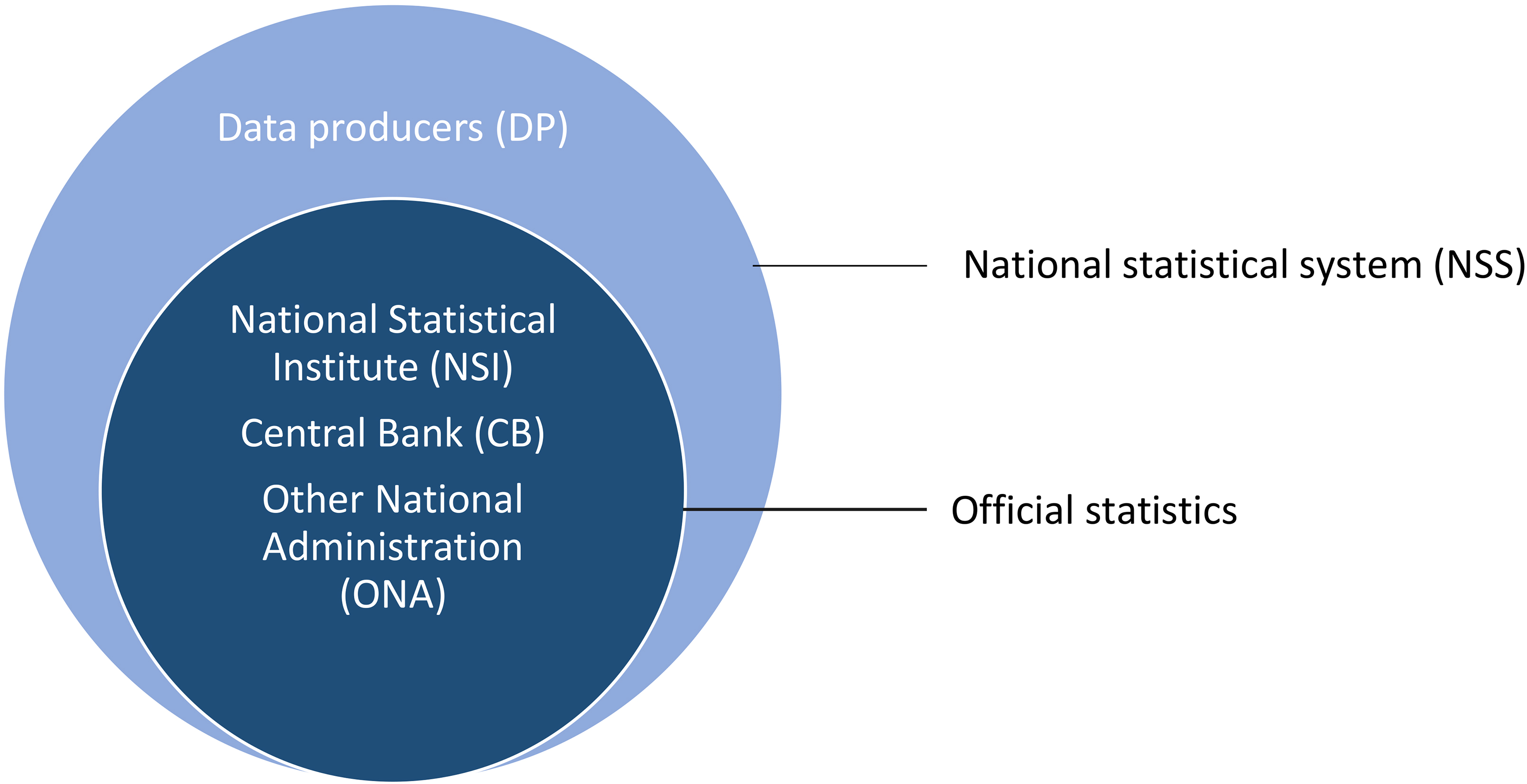Boundaries of the National Statistical System (NSS) and Official Statistics.