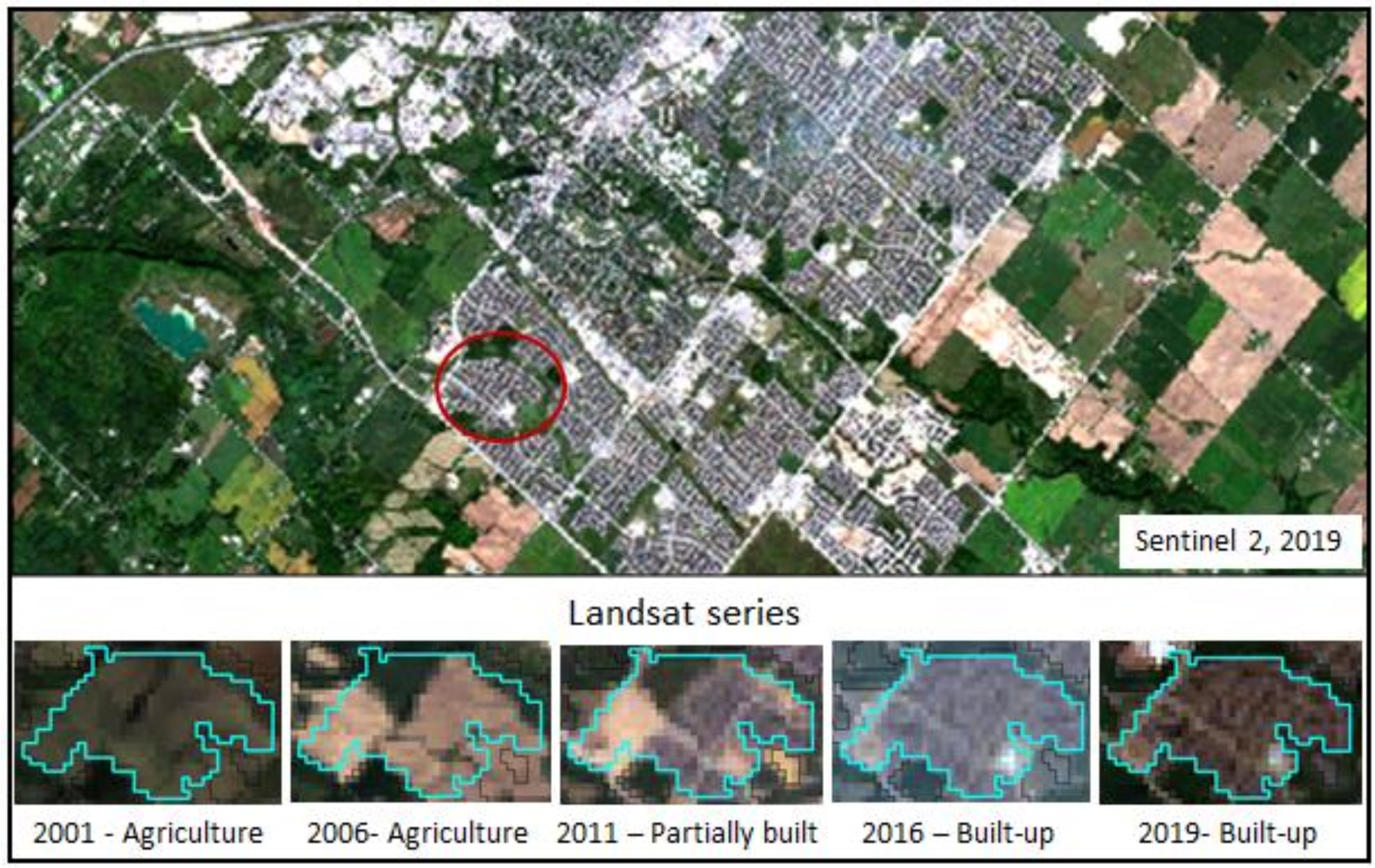 Changes observed in polygon 688 from Landsat series, 2001 to 2019.