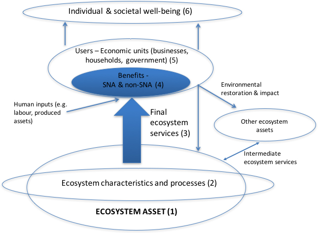 The ecosystem accounting framework. Source: Adapted from [24] Figure 2.2.
