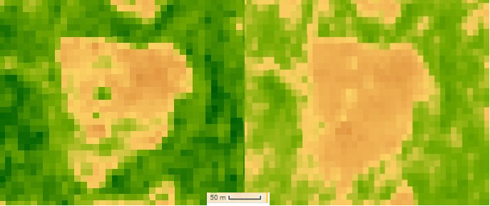 NDVI level at different times of the year. More concentration during the crop growing season (left) in Feb 2016 and less during dry season (right in August 2016.