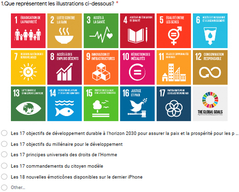 First question of the SDGs awareness quizzes conducted in 2017 and 2019. Source: author.