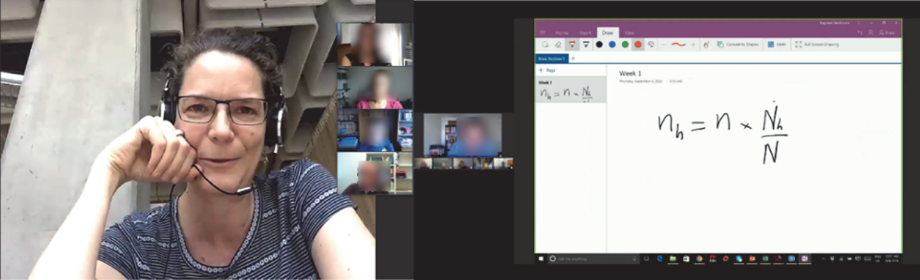 Screenshot from a live meeting supported by the whiteboard function [44].