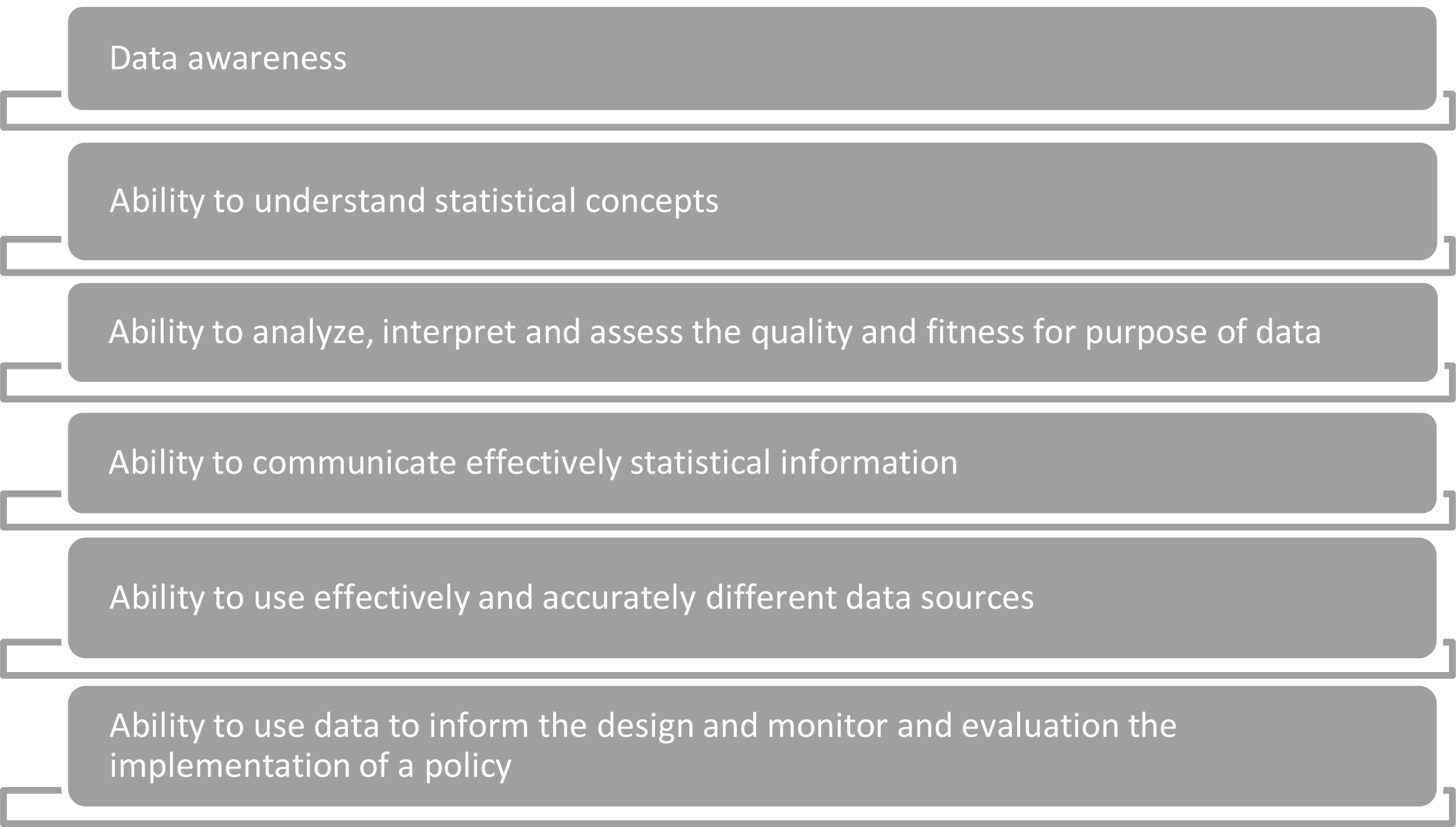 Core data competencies for policy makers.