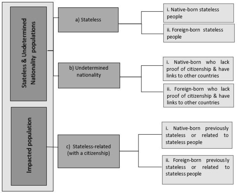 Proposed definitional framework for International Recommendations on Statelessness Statistics.
