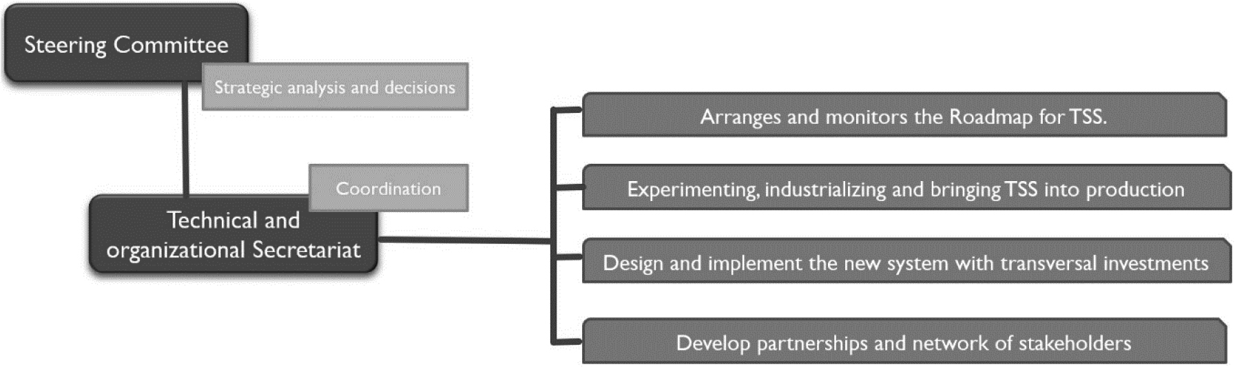 Organigram and functions of the TSS Center.