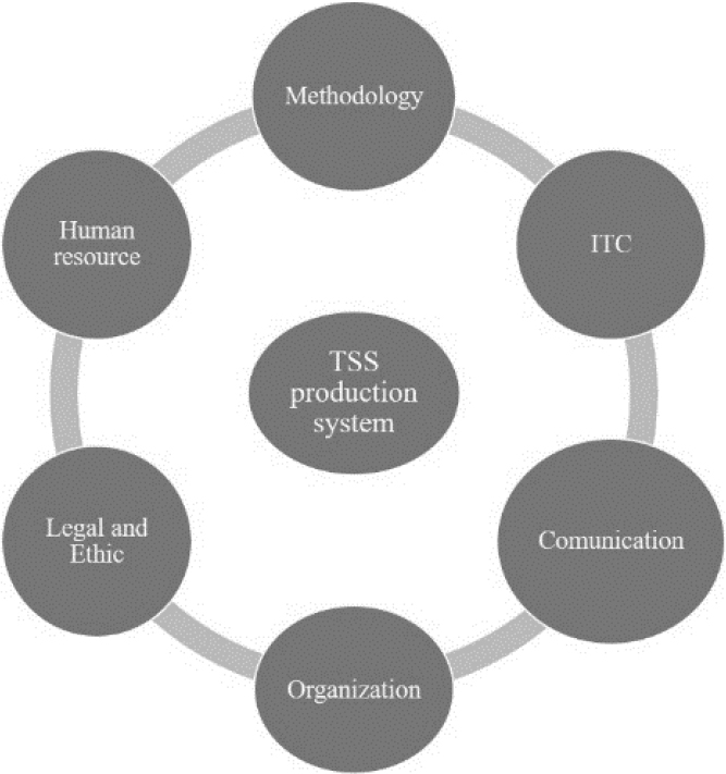 Organisational dimensions contributing to the creation of the TSS system.