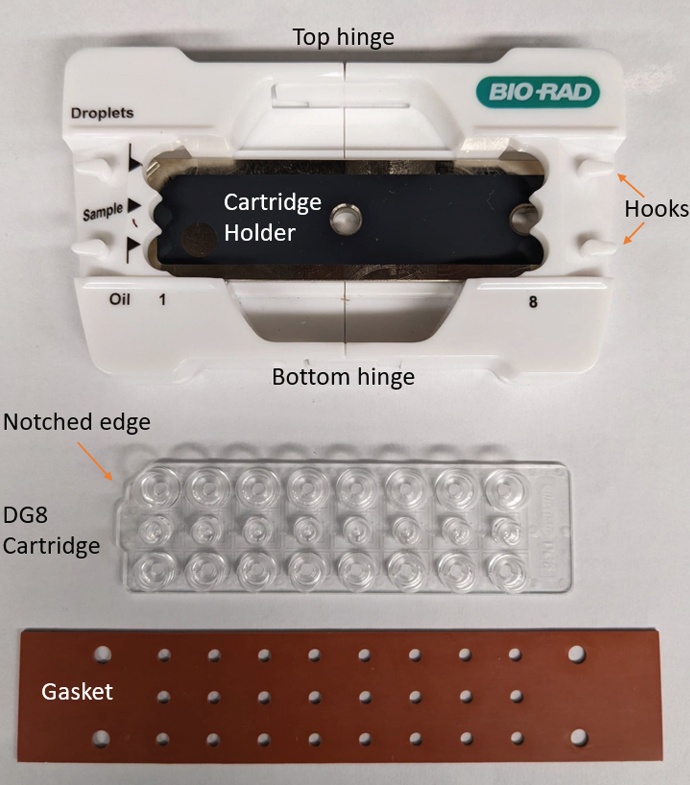 Droplet Generation: Required components. This picture shows the cartridge holder, the DG8™ cartridge and the DG8™ Gasket for QX200™/QX100™ Droplet Generator.
